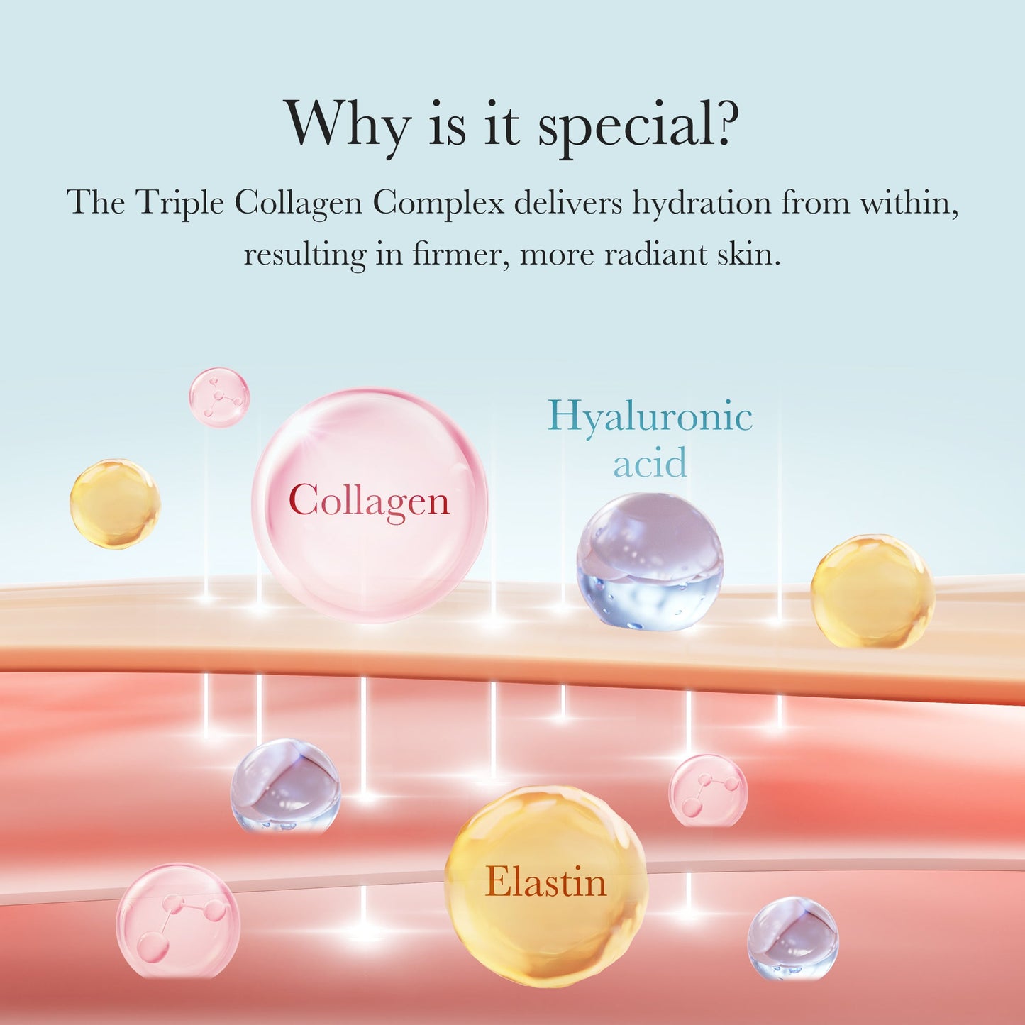 triple-collagen-cream-b9 04_8e4e330d-7d9c-4ff0-93ec-ea541093220c.jpg